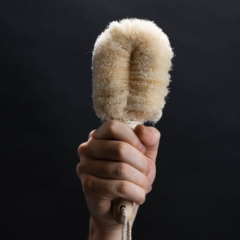 Viking Dry Body Brush by barenuts - Non-toxic Sponges, Loofahs + Physical Exfoliators product rated GO by Million Marker, free from BPA, phthalates, and parabens