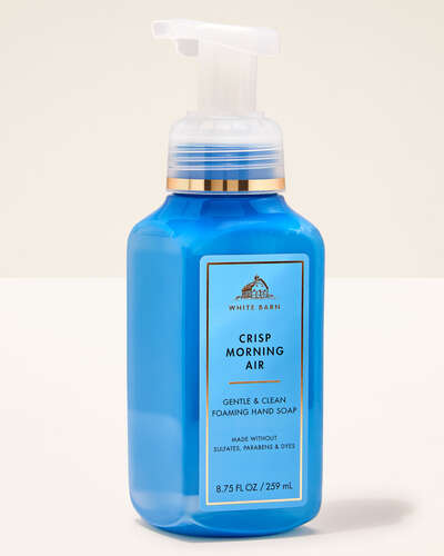Gentle & Clean Foaming Hand Soap - Crisp Morning Air by Bath & Body Works - Non-toxic, STOP rated product free from harmful chemicals