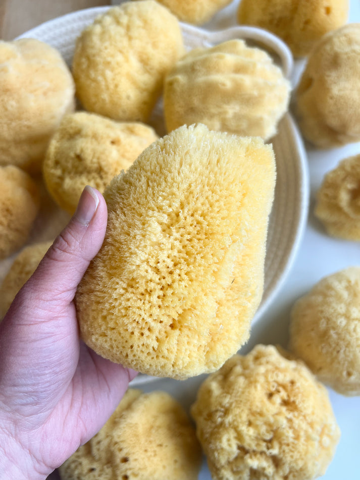 Silk Bath Sea Sponge by Fawn Lily Botanica - Non-toxic, GO rated product free from harmful chemicals