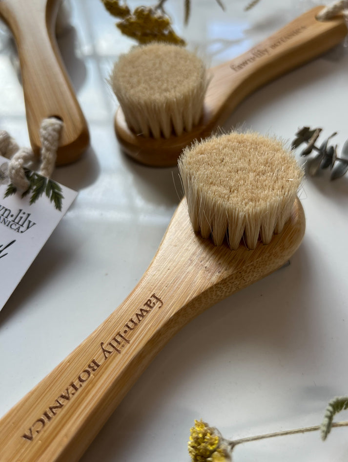 Wool + Bamboo Facial Dry Brush by Fawn Lily Botanica - Non-toxic, GO rated product free from harmful chemicals
