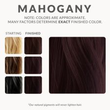 Mahogany Henna Hair Dye by Henna Color Lab - Non-toxic, GO rated product free from harmful chemicals