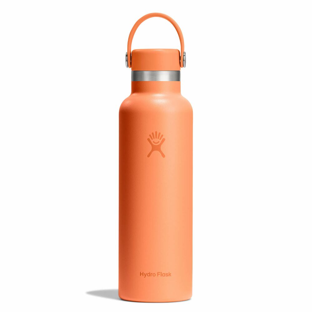 Stainless Steel Standard Mouth Water Bottle - 21oz by Hydro Flask - Non-toxic, GO rated product free from harmful chemicals