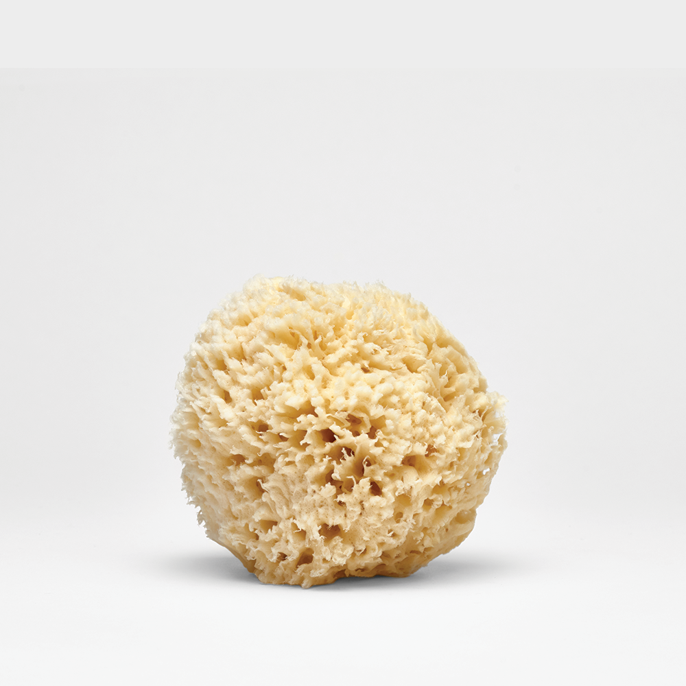 Natural Sea Wool Sponge by Lather - Non-toxic Sponges, Loofahs + Physical Exfoliators product rated GO by Million Marker, free from BPA, phthalates, and parabens