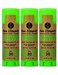Raw Elements Raw Elements Organic Outdoor Sunscreen Lip Balm SPF 30