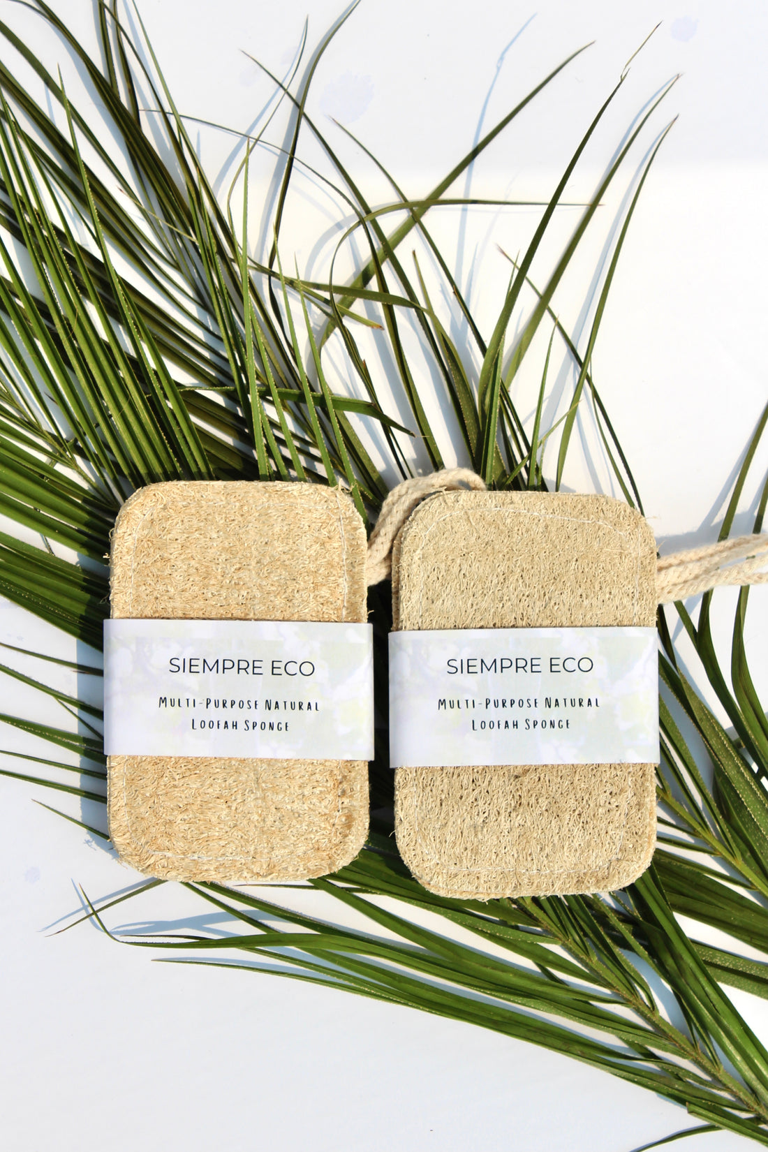 Multi-Purpose Loofah Sponge by Siempre Eco - Non-toxic Soaps + Body Washes product rated GO by Million Marker, free from BPA, phthalates, and parabens
