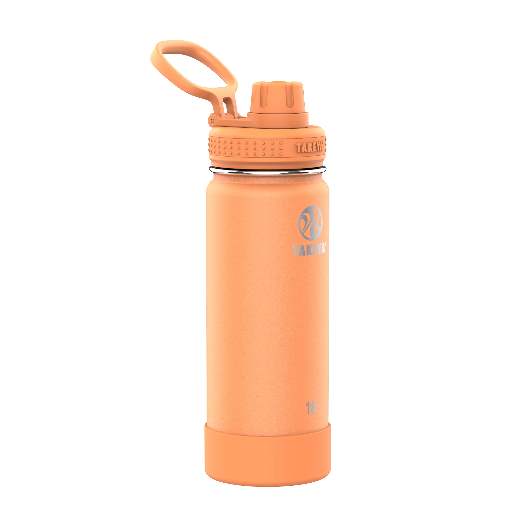 Takeya 18 oz Stainless Steel Water Bottle with Spout Lid - 18 oz