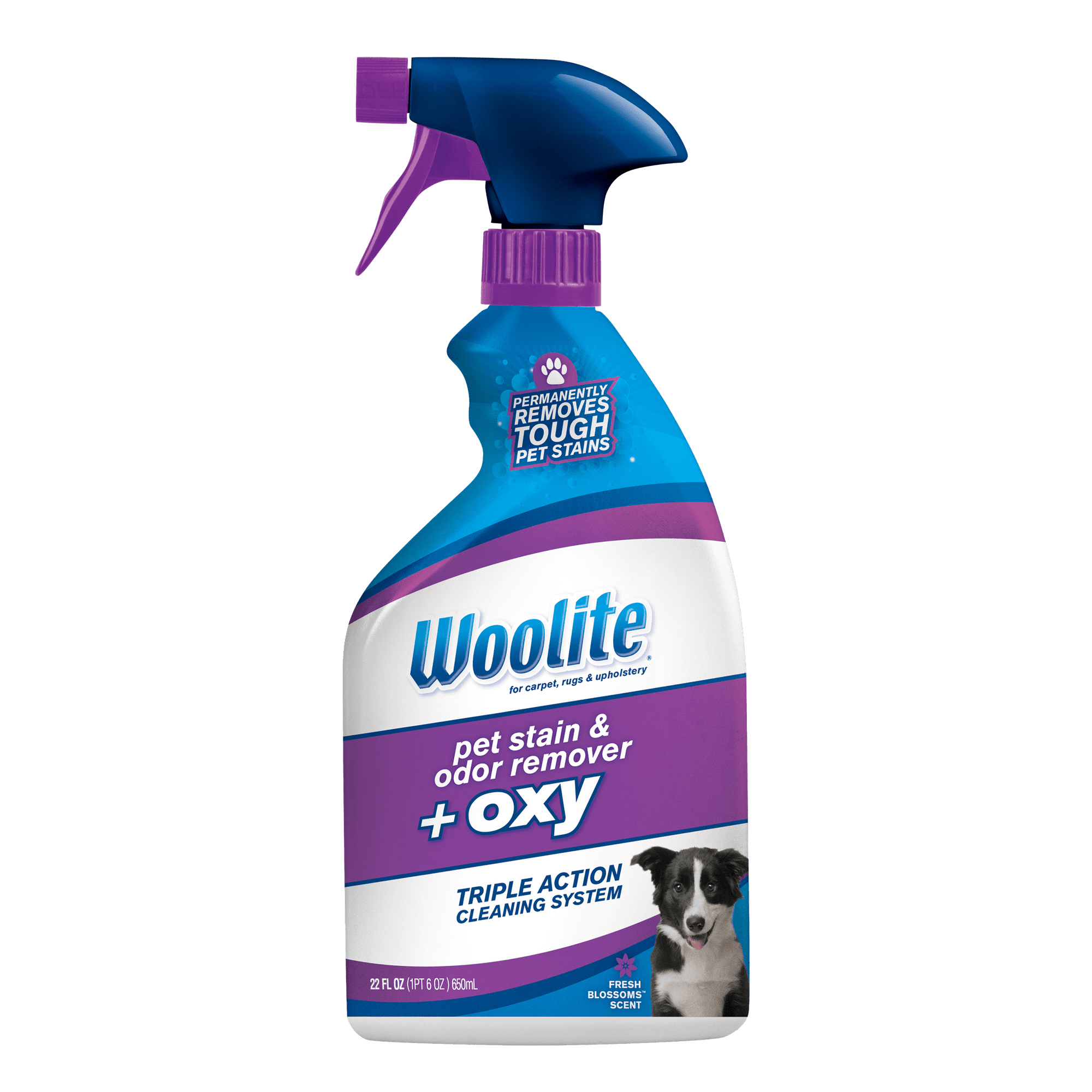 Pet Stain & Odor Remover + Oxy - Fresh Blossoms Scent by Woolite - Non-toxic, STOP rated product free from harmful chemicals