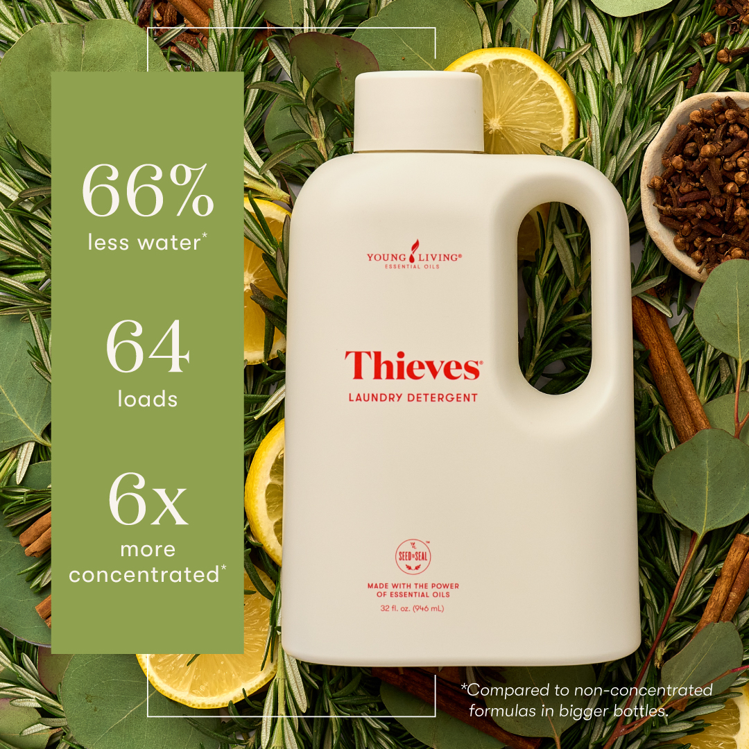 Laundry Detergent – Thieves by YOUNG LIVING ESSENTIAL OilS - Non-toxic Laundry product rated SLOW by Million Marker, free from BPA, phthalates, and parabens